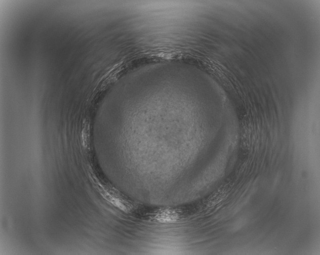 X0000056340656200509161737