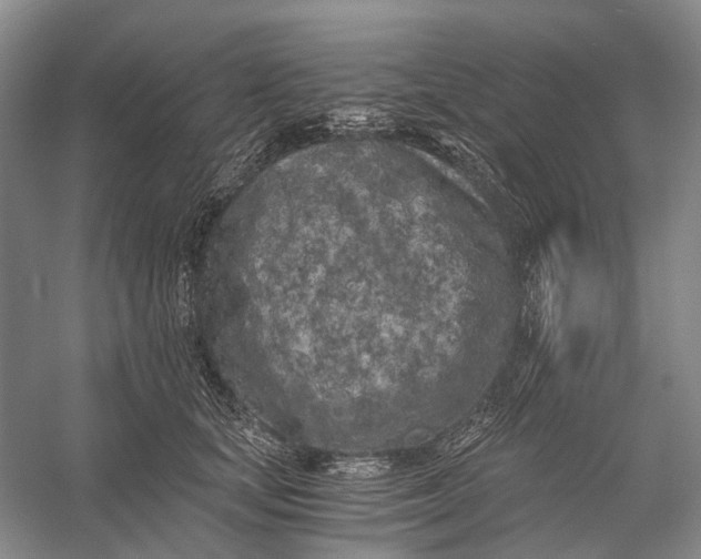 X0000056340659200509161737