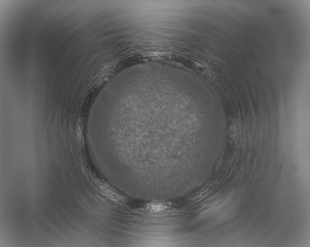 X0000056340662200509161737