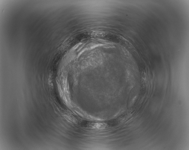 X0000056340663200509161737