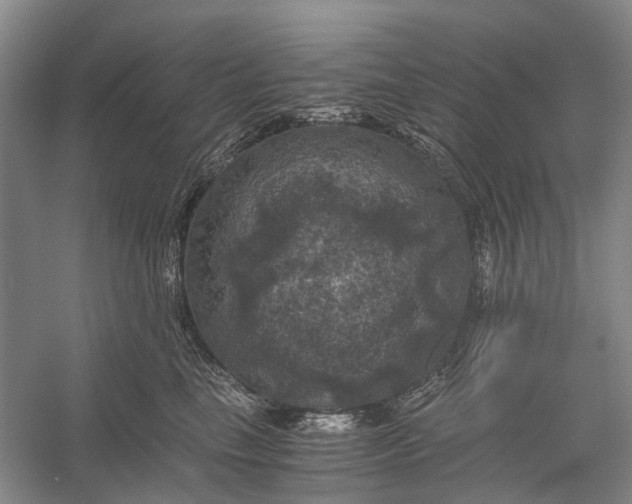 X0000056340665200509161737