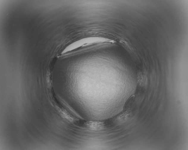X0000056340670200509161737