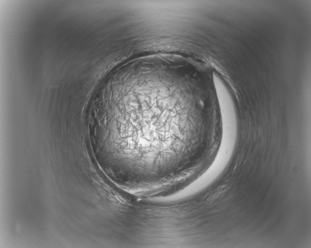 X0000056340673200509161736