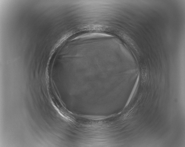 X0000056340674200509161736