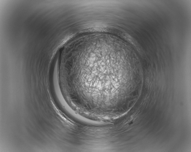 X0000056340677200509161736