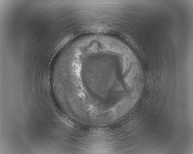 X0000056340679200509161736