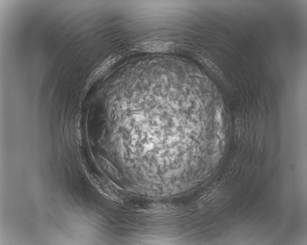 X0000056340682200509161736