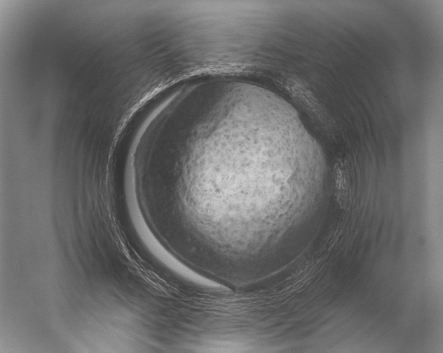 X0000056340684200509161736