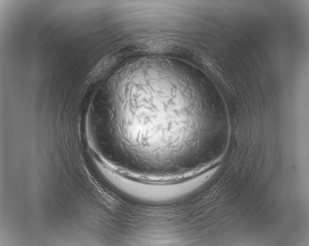 X0000056340685200509161736