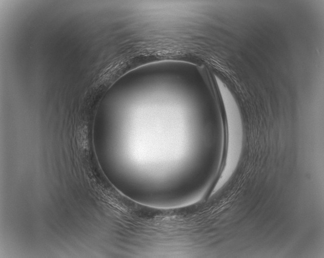 X0000056340689200509161736