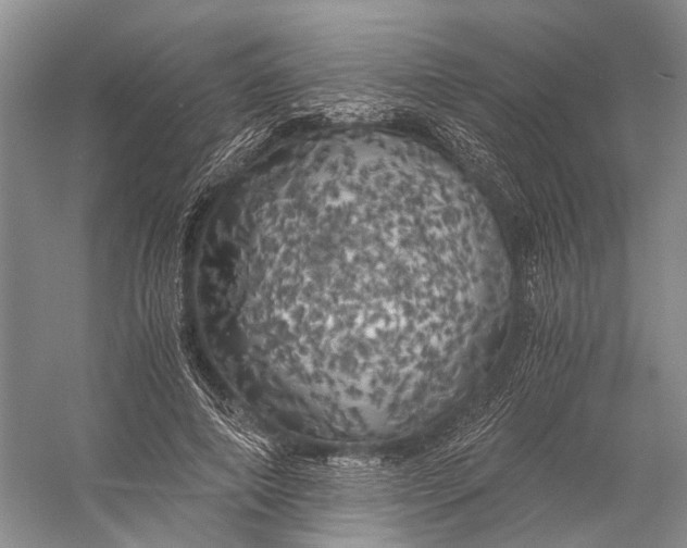 X0000056340690200509161736