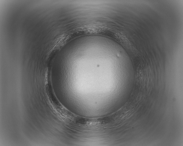 X0000056340694200509161736