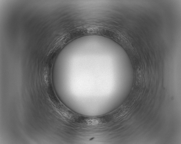 X0000056340698200509161736