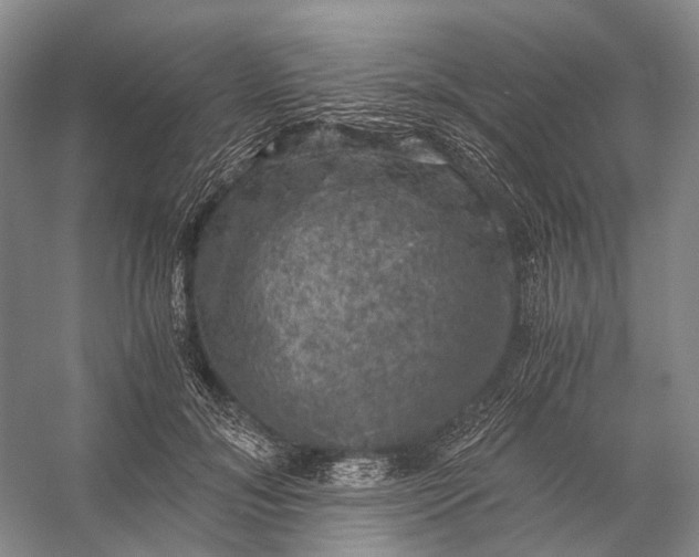 X0000056340700200509161736