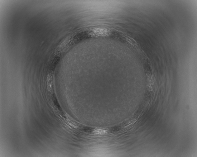 X0000056340701200509161736