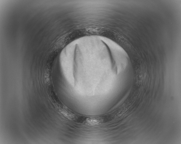 X0000056340706200509161736