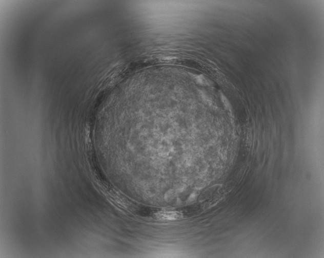 X0000056340711200509161736