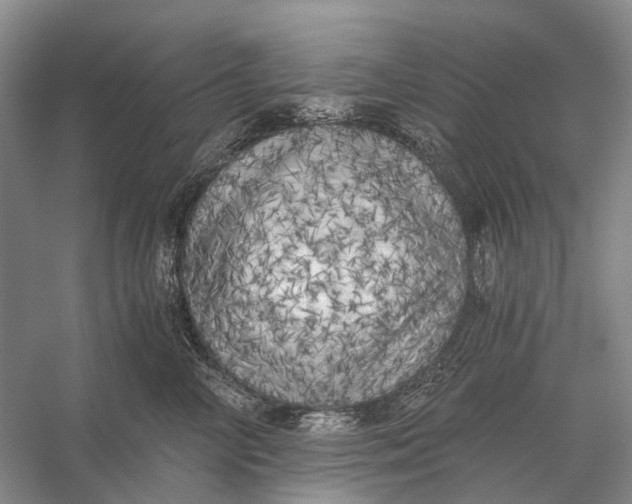 X0000056340714200509161736