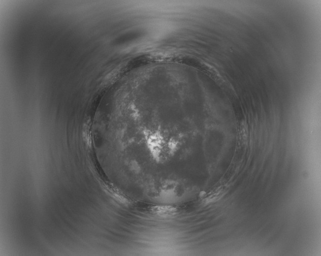 X0000056340719200509161736