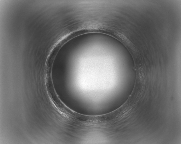 X0000056340728200509161735