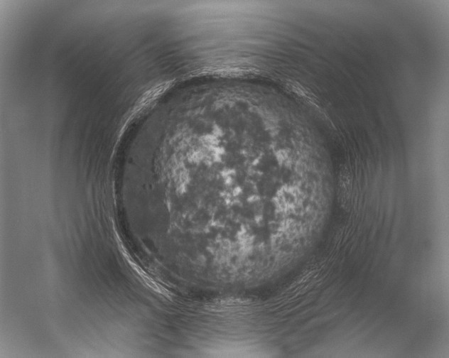 X0000056340734200509161735