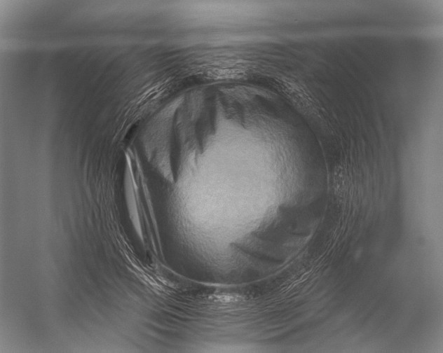 X0000056340741200509161735