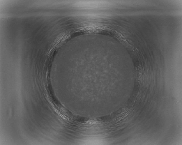 X0000056340742200509161735