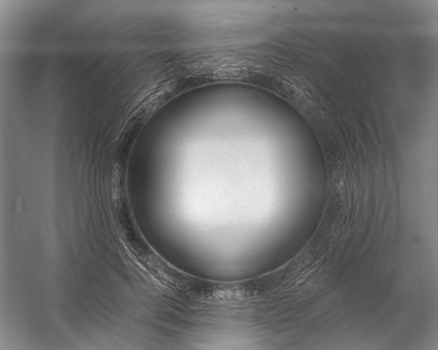 X0000056340744200509161735