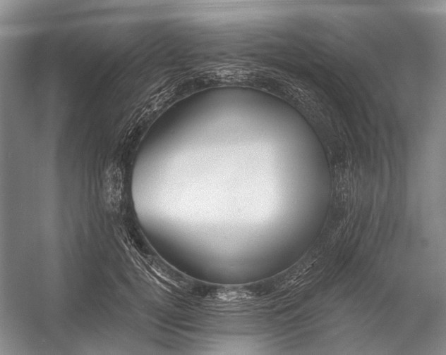 X0000056340752200509161735