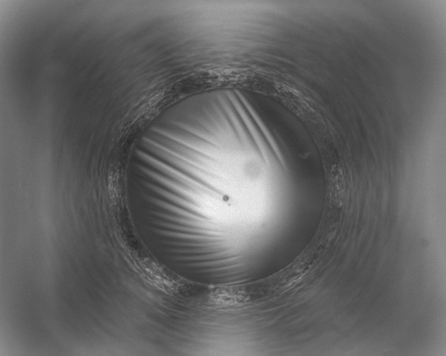X0000056340756200509161735