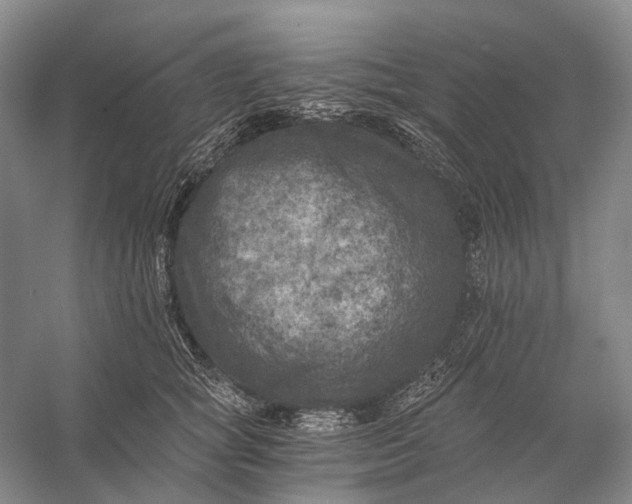 X0000056340757200509161735