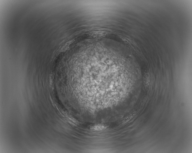 X0000056340759200509161735