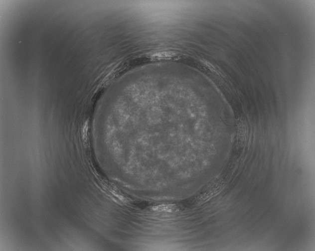 X0000056340761200509161735