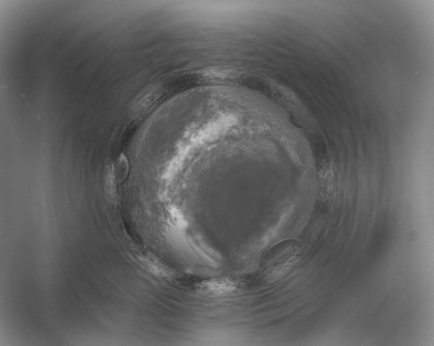 X0000056340765200509161735