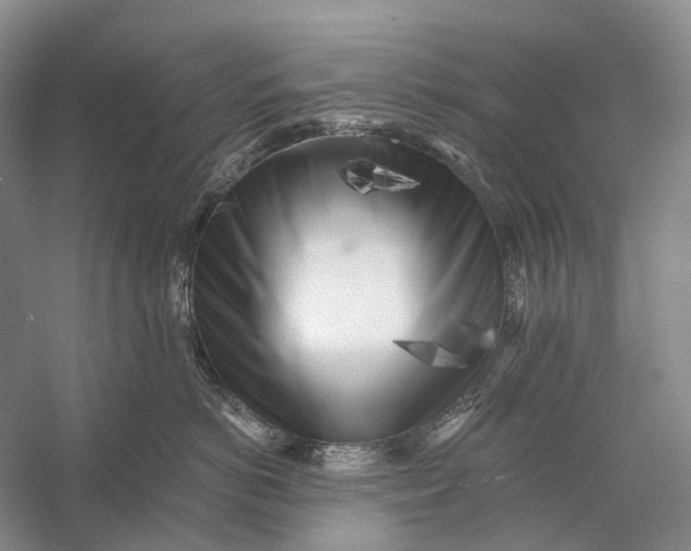X0000056340766200509161735