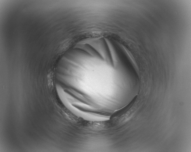 X0000056340768200509161736