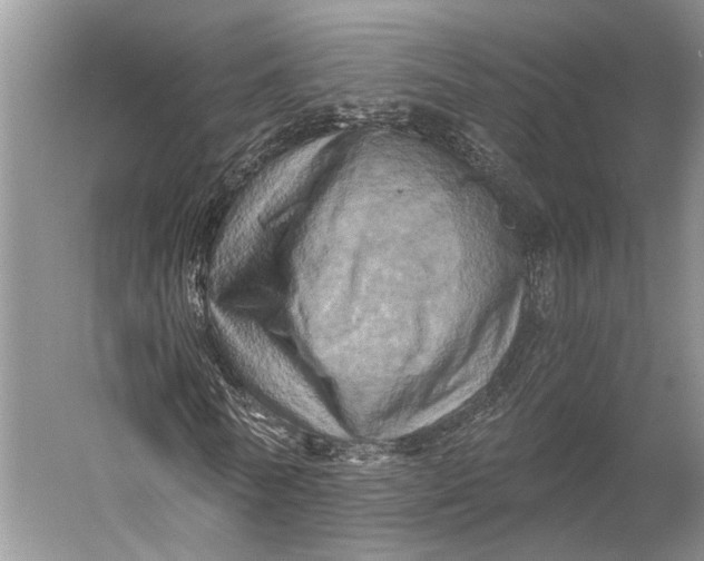 X0000056340770200509161735
