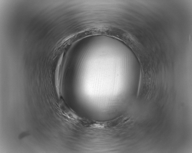 X0000056340773200509161735