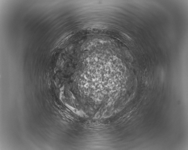 X0000056340774200509161735