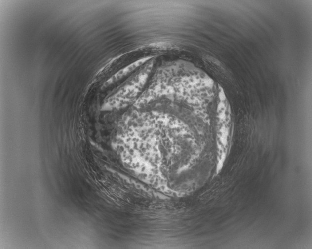 X0000056340776200509161735