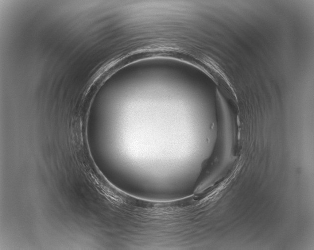 X0000056340781200509161734