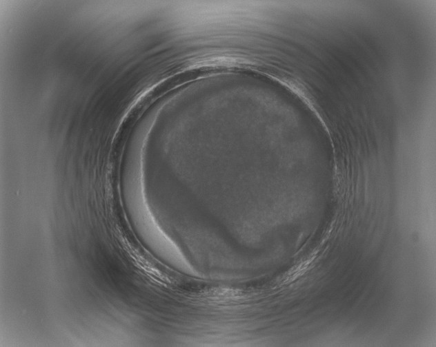 X0000056340783200509161734