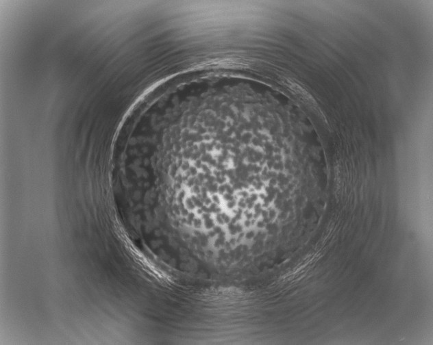 X0000056340784200509161734
