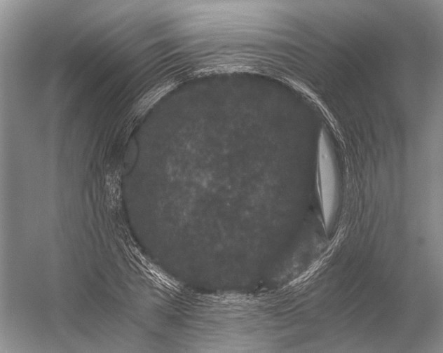X0000056340785200509161734