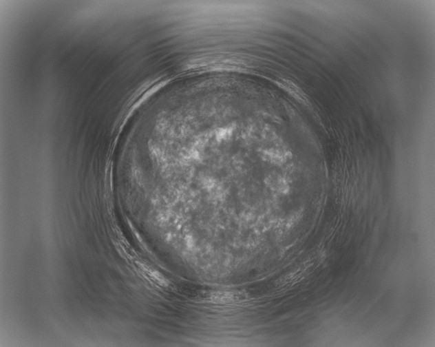 X0000056340790200509161734