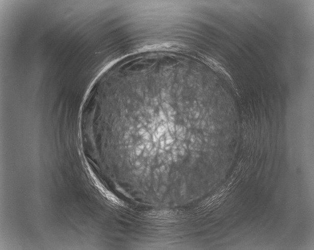 X0000056340792200509161734