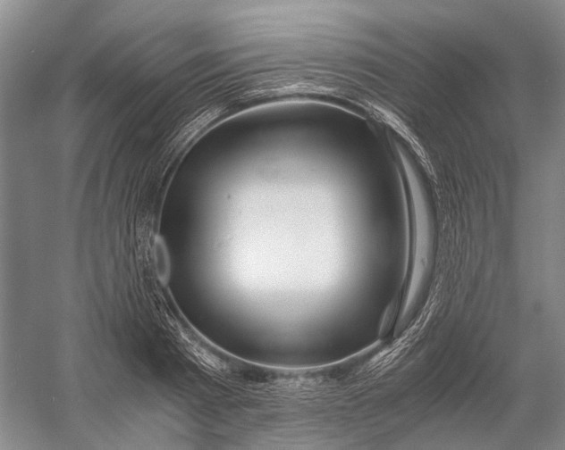 X0000056340793200509161734