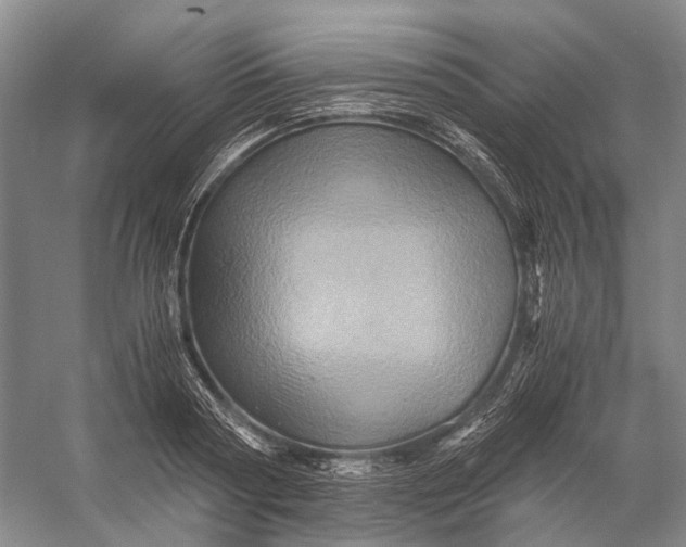 X0000056340794200509161734