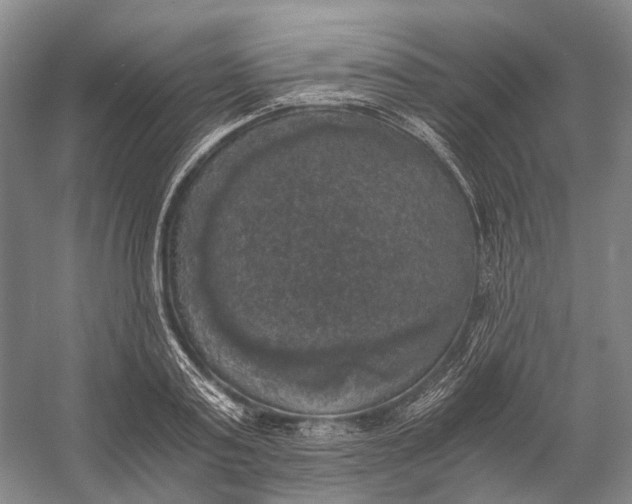 X0000056340795200509161734