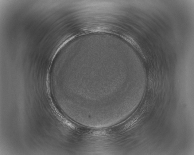 X0000056340798200509161734